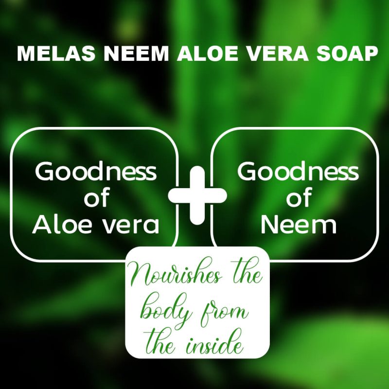 n soap 1 copy